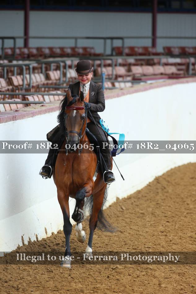 Proof 18R2_04065