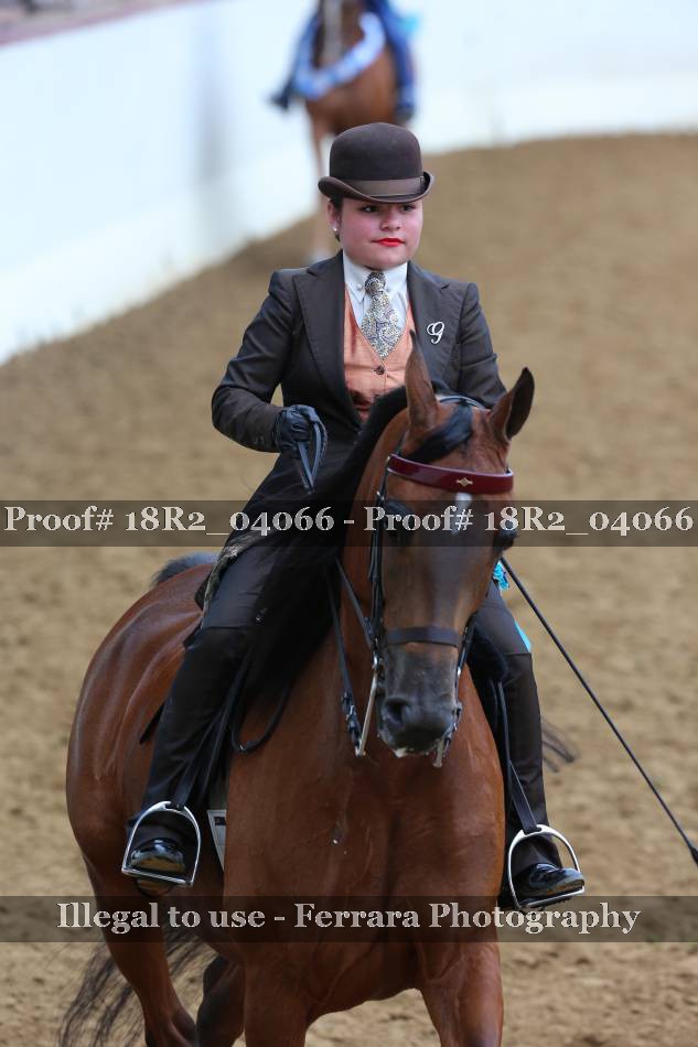 Proof 18R2_04066