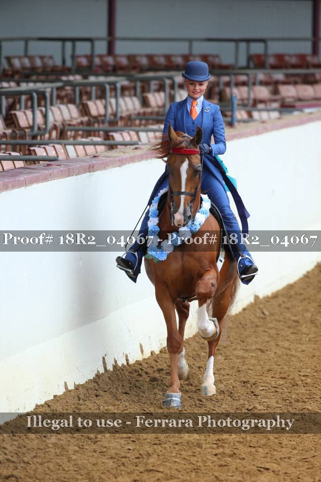 Proof 18R2_04067