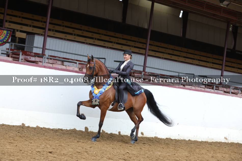 Proof 18R2_04068