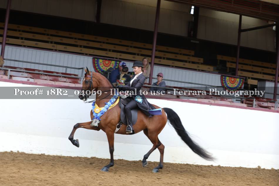 Proof 18R2_04069
