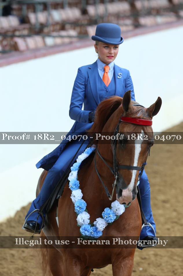 Proof 18R2_04070