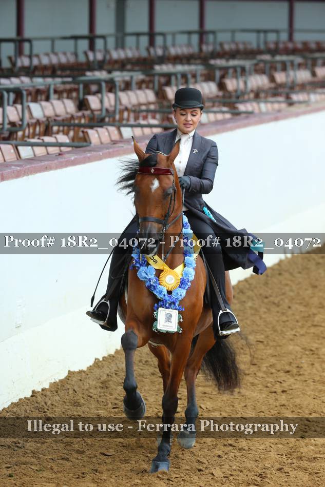 Proof 18R2_04072