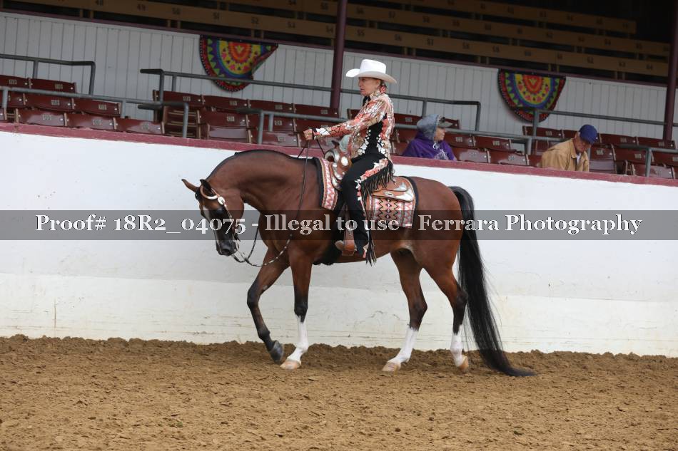 Proof 18R2_04075