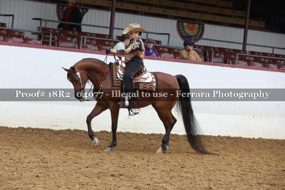 Proof 18R2_04077