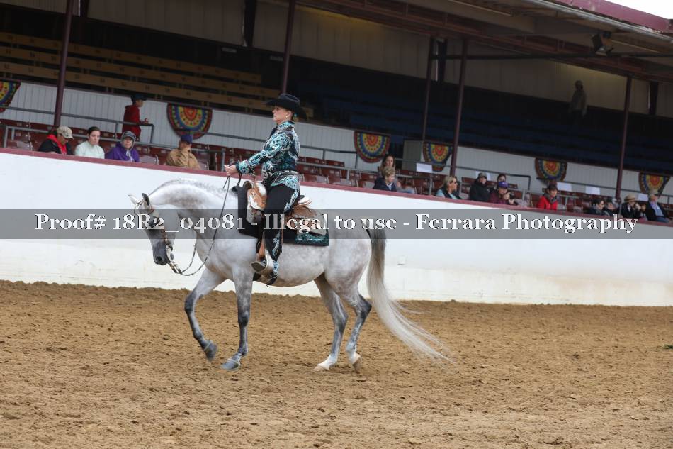 Proof 18R2_04081