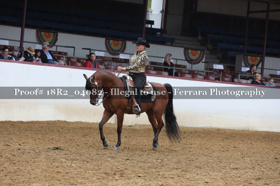 Proof 18R2_04082