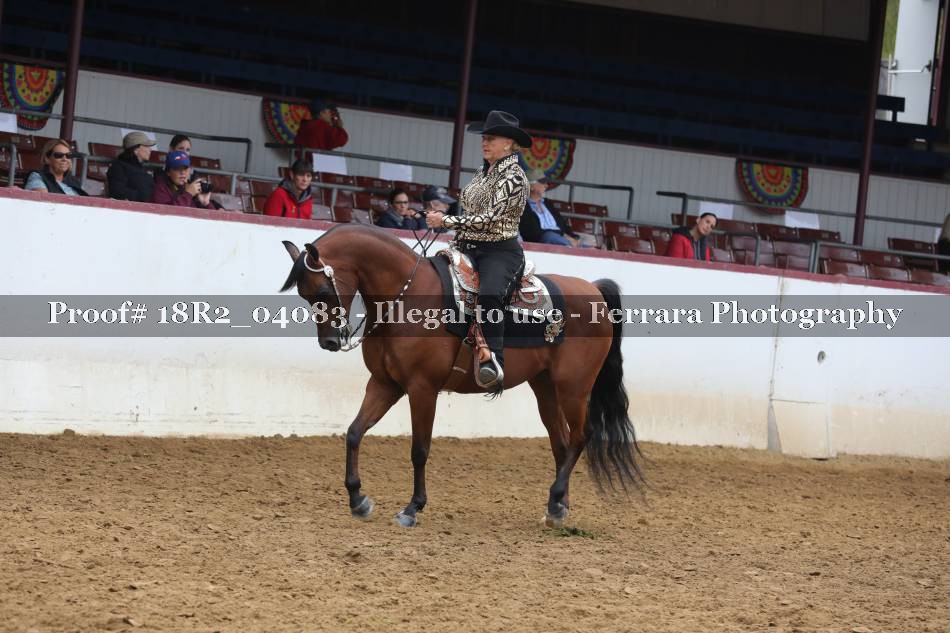 Proof 18R2_04083