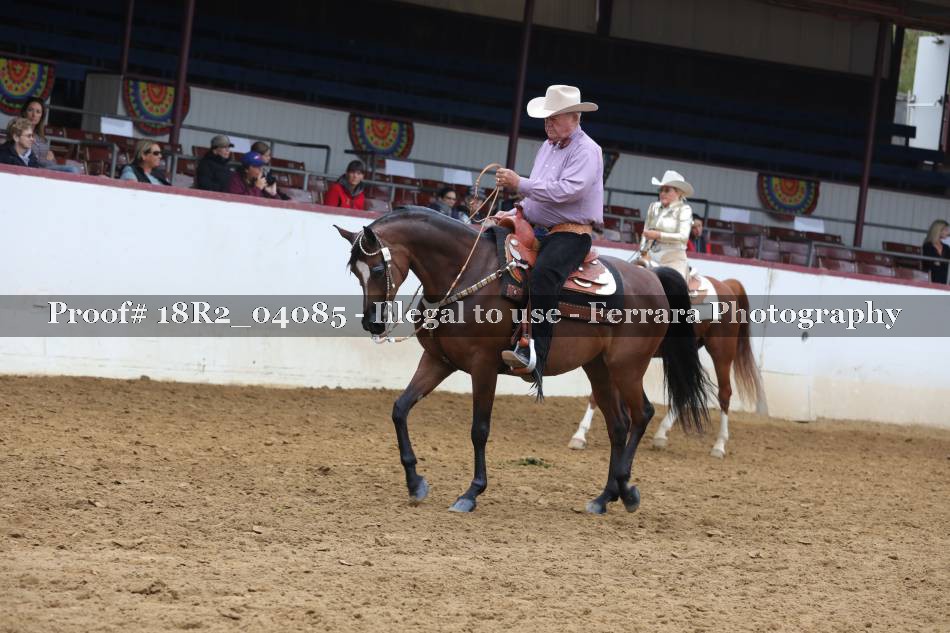 Proof 18R2_04085
