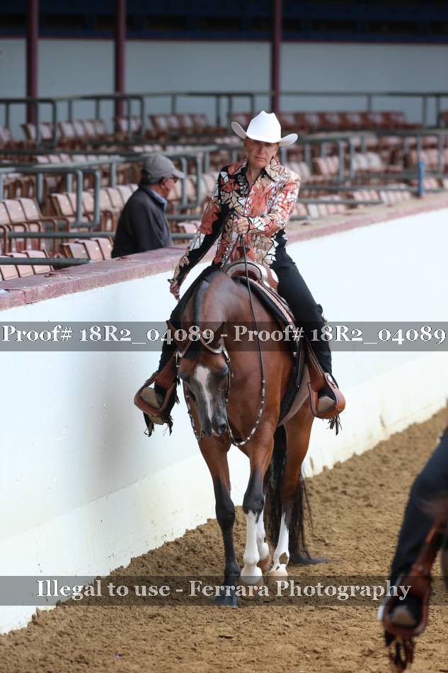Proof 18R2_04089