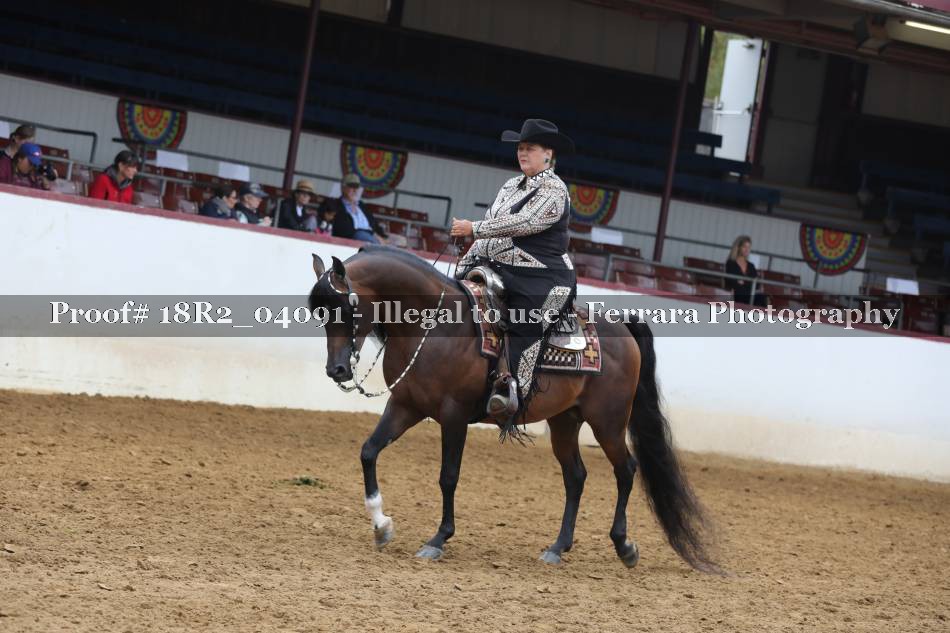 Proof 18R2_04091