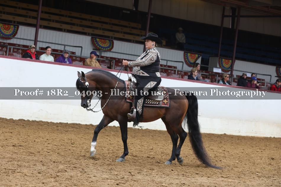 Proof 18R2_04093