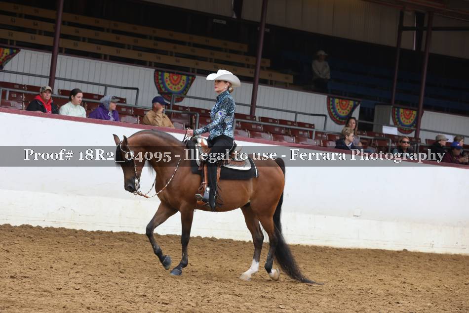 Proof 18R2_04095