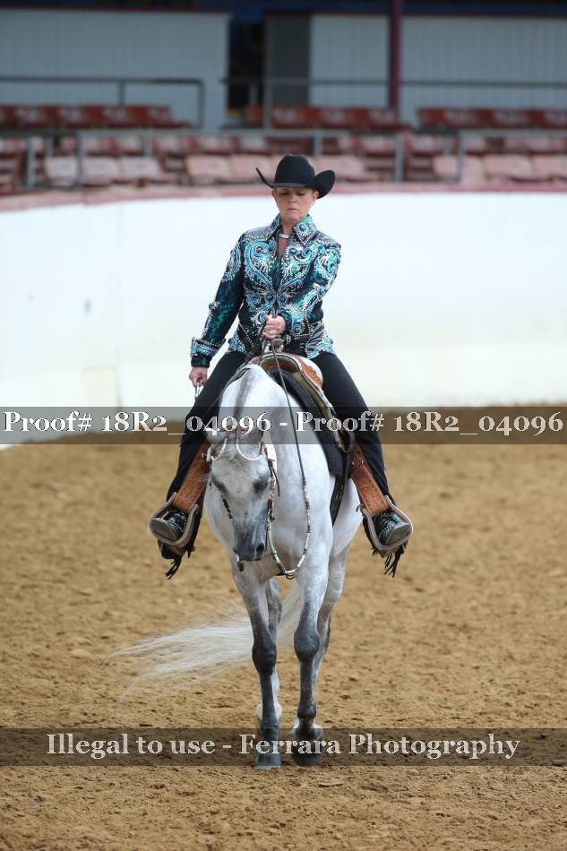 Proof 18R2_04096