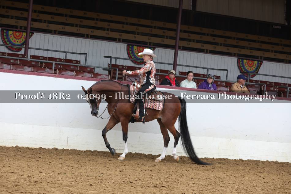Proof 18R2_04099