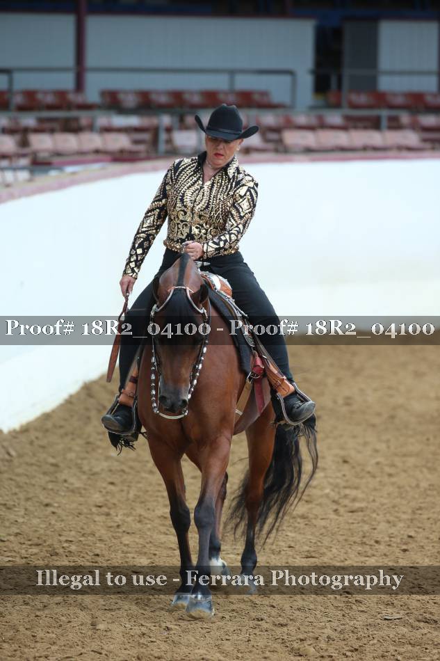 Proof 18R2_04100