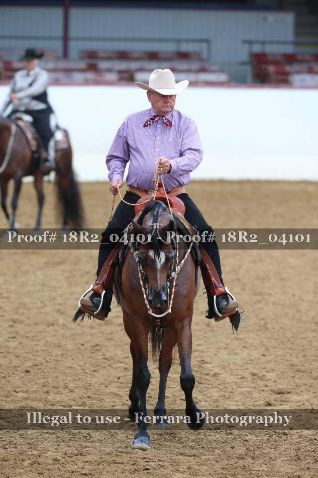 Proof 18R2_04101