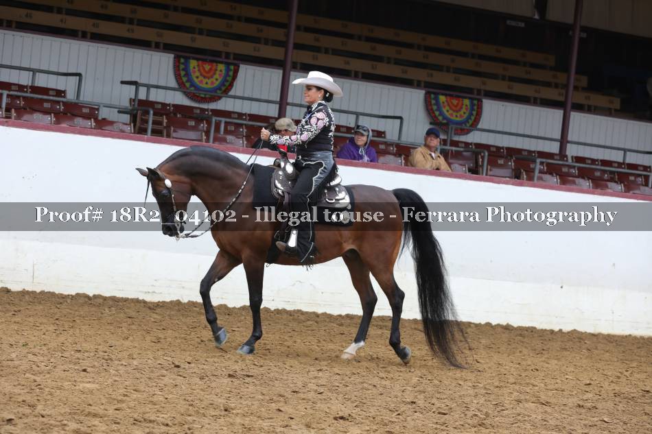 Proof 18R2_04102