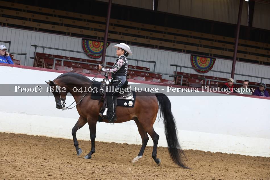 Proof 18R2_04103