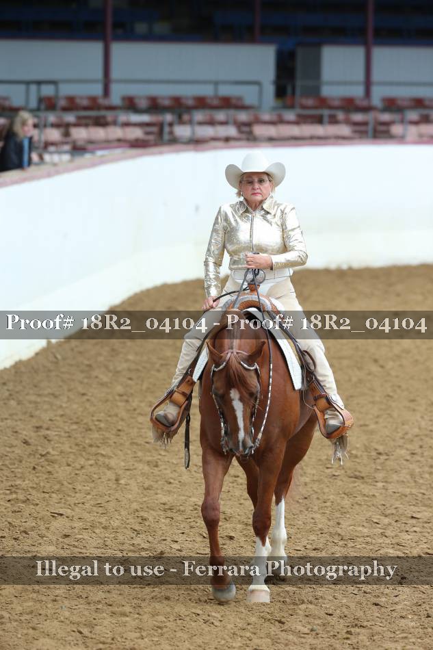 Proof 18R2_04104
