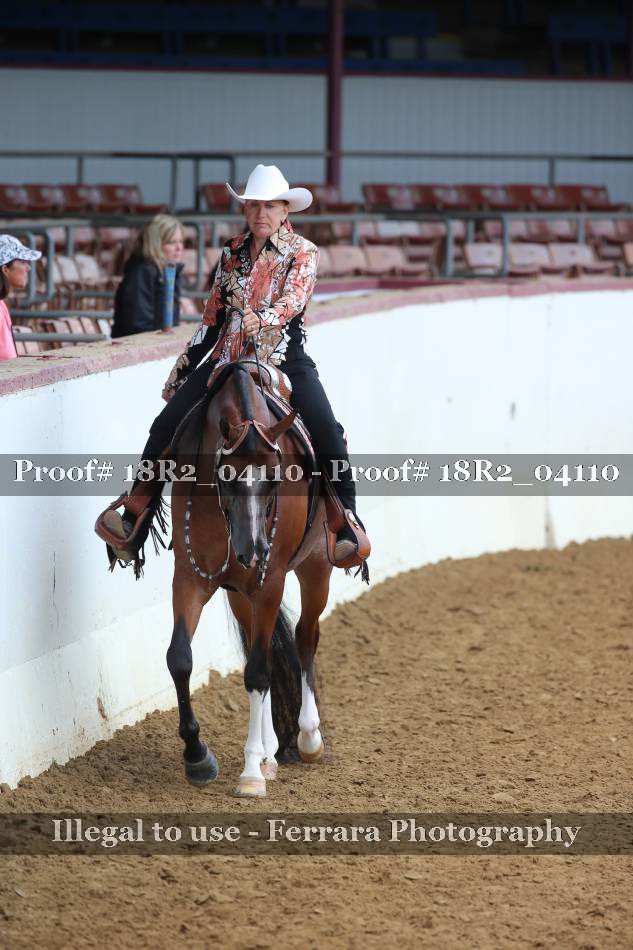 Proof 18R2_04110