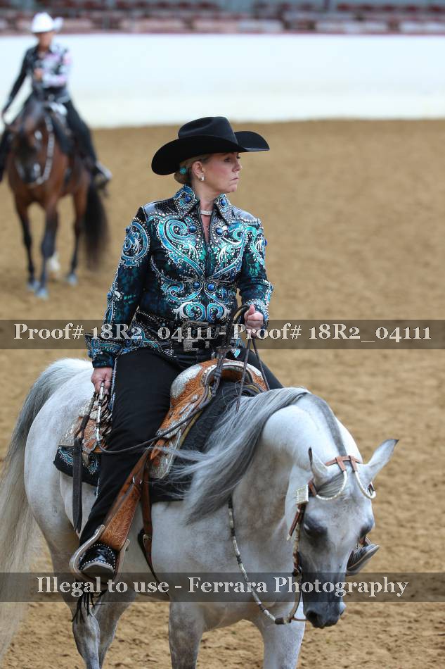 Proof 18R2_04111