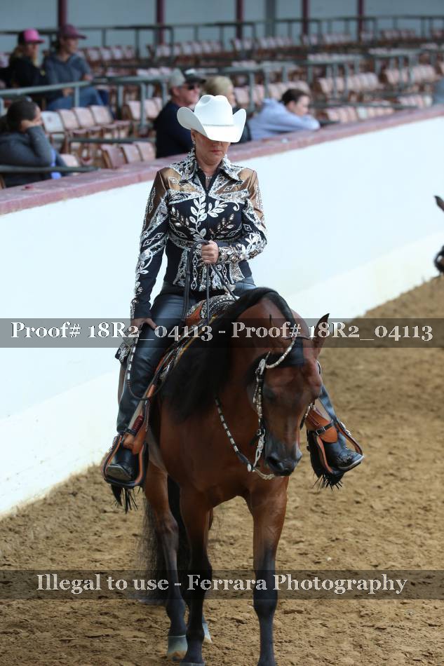 Proof 18R2_04113