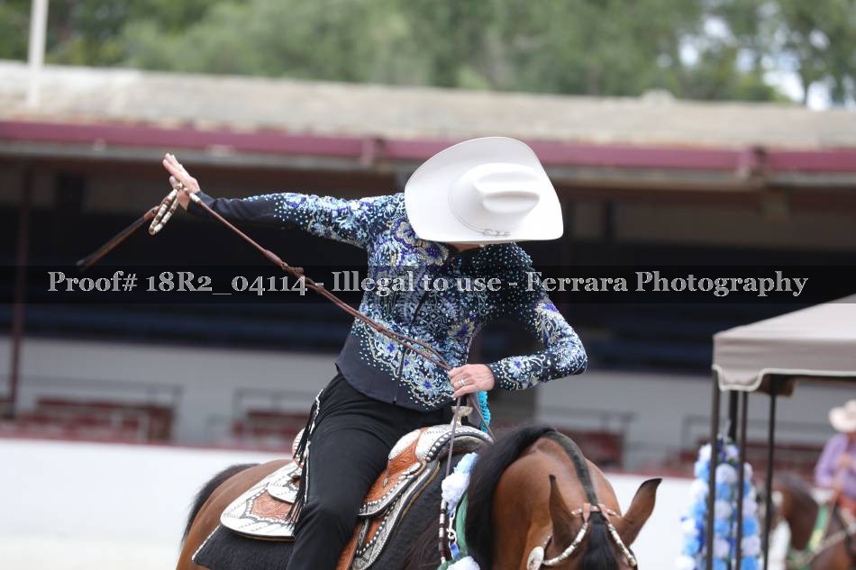 Proof 18R2_04114