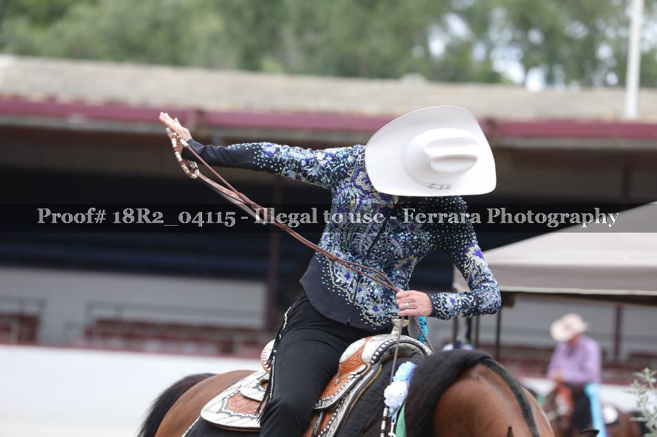 Proof 18R2_04115