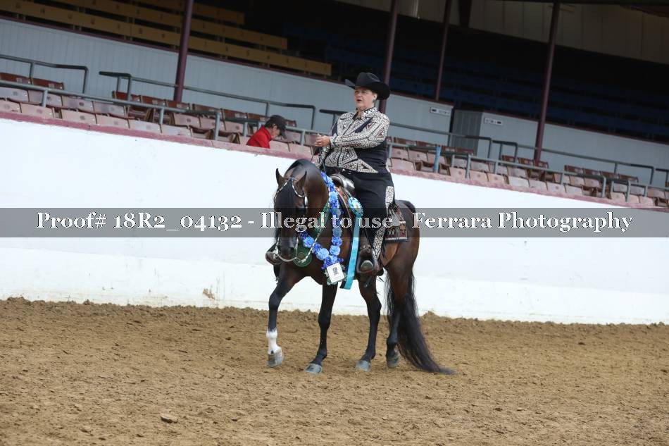 Proof 18R2_04132