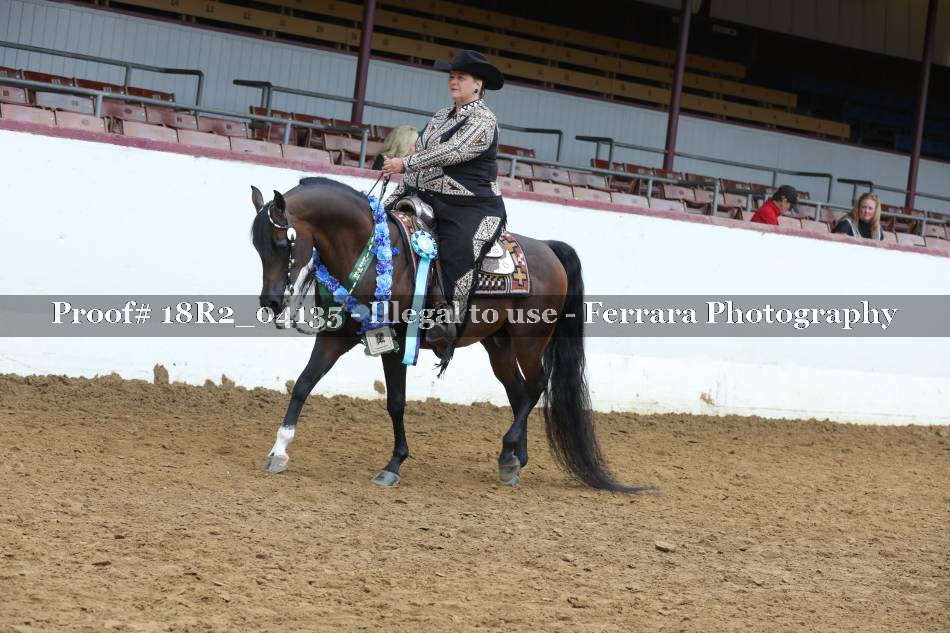 Proof 18R2_04135