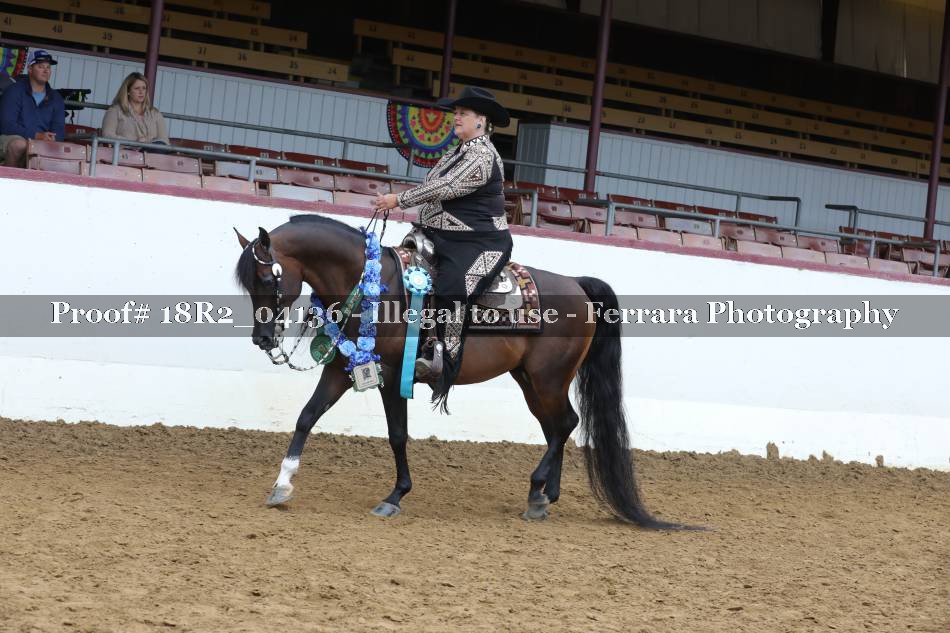 Proof 18R2_04136