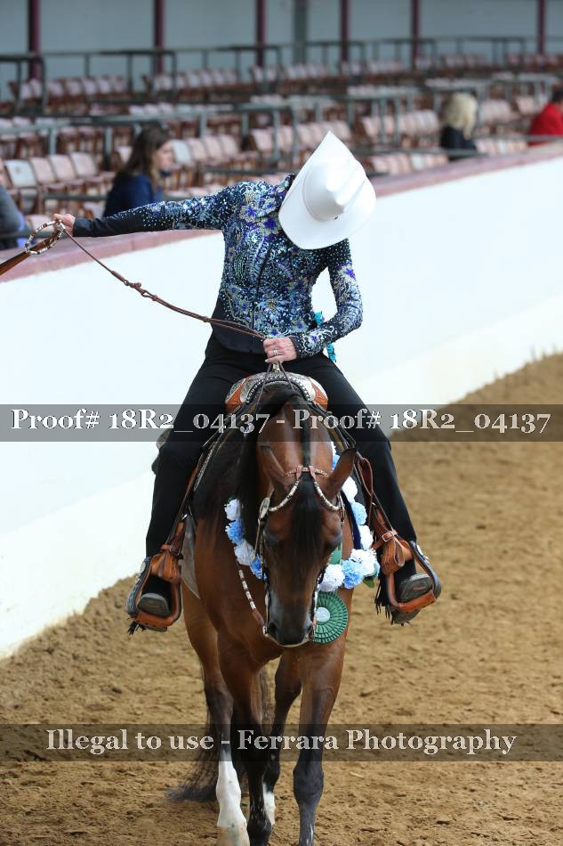 Proof 18R2_04137