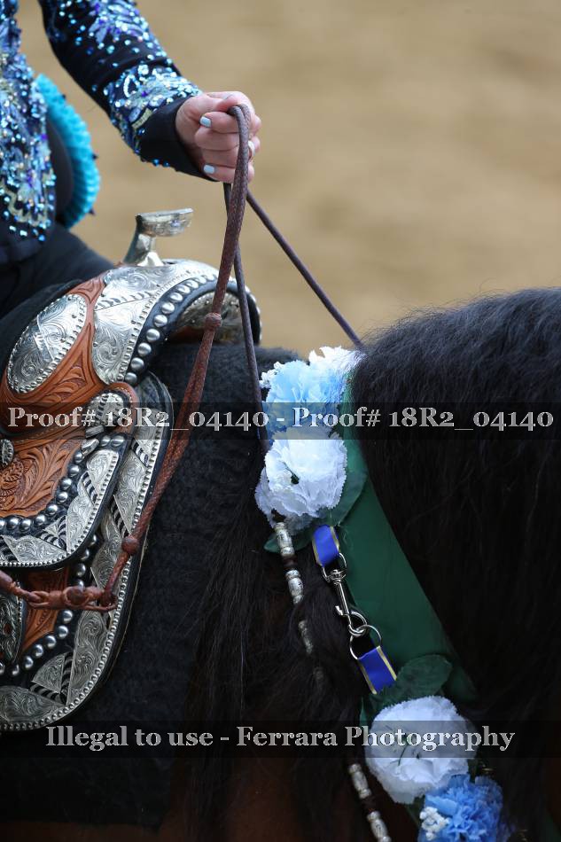 Proof 18R2_04140