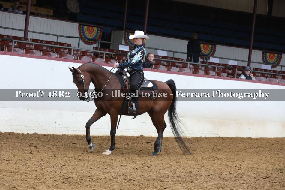 Proof 18R2_04150