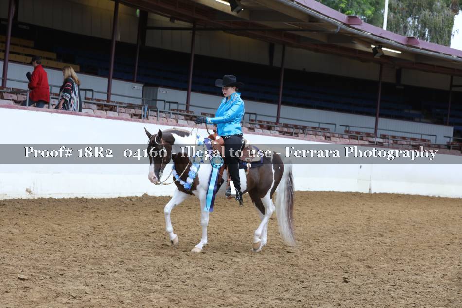 Proof 18R2_04160