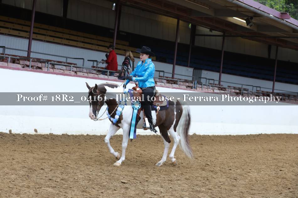 Proof 18R2_04161