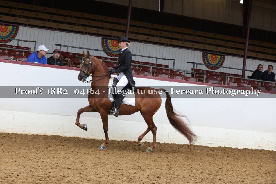 Proof 18R2_04164