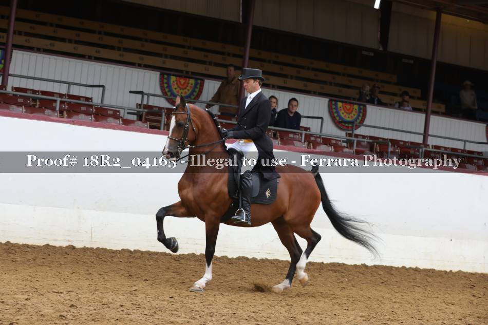 Proof 18R2_04165