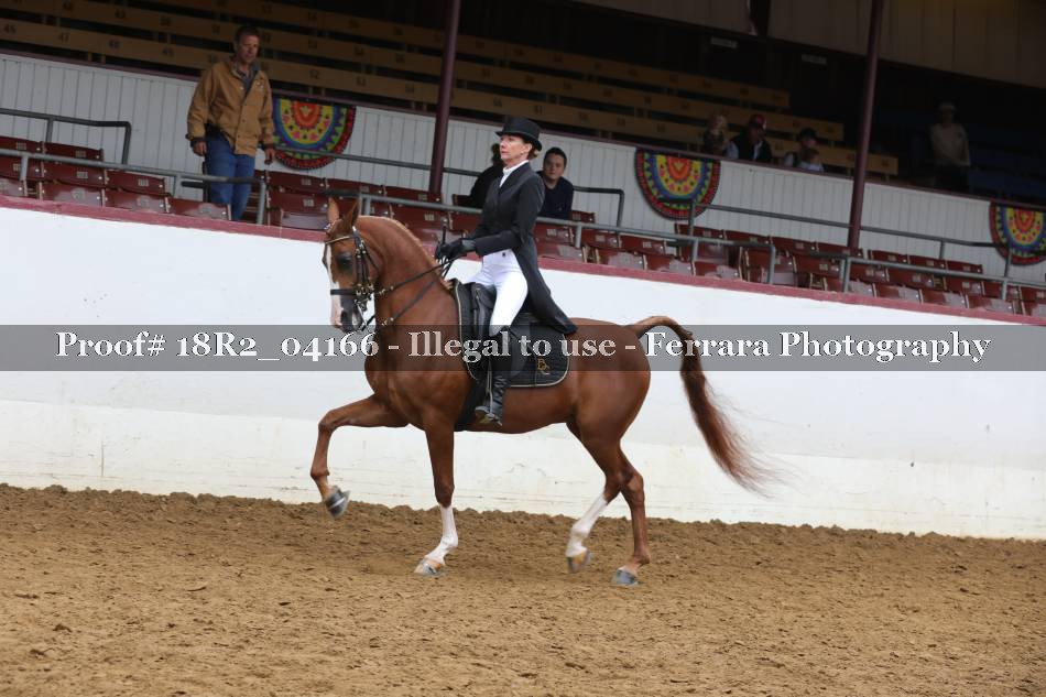Proof 18R2_04166