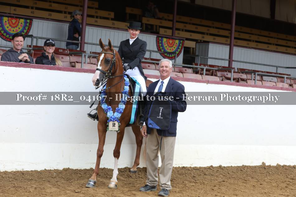 Proof 18R2_04167