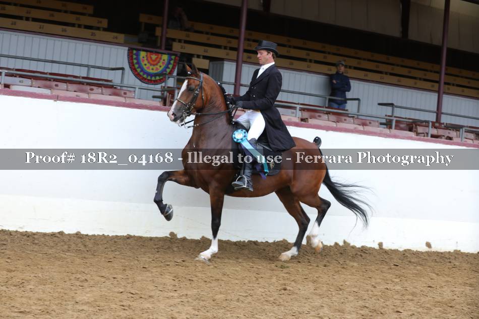 Proof 18R2_04168