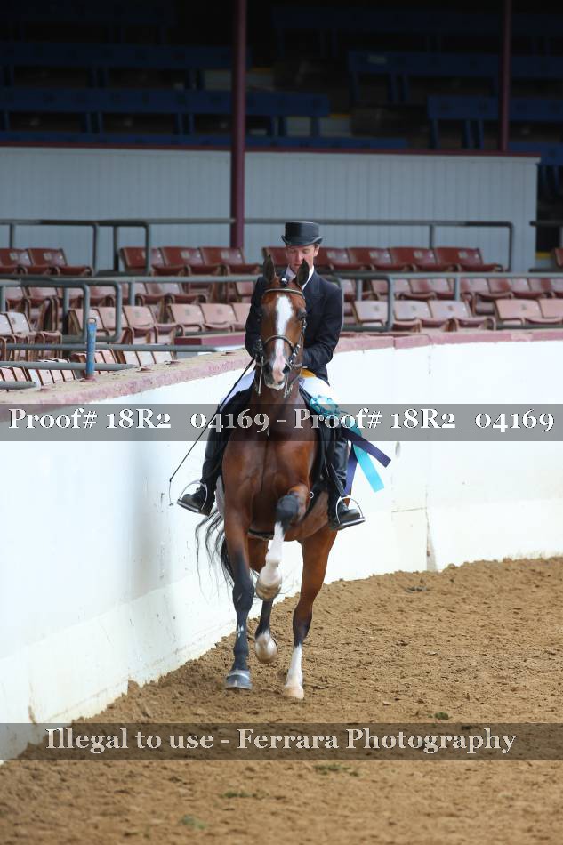 Proof 18R2_04169
