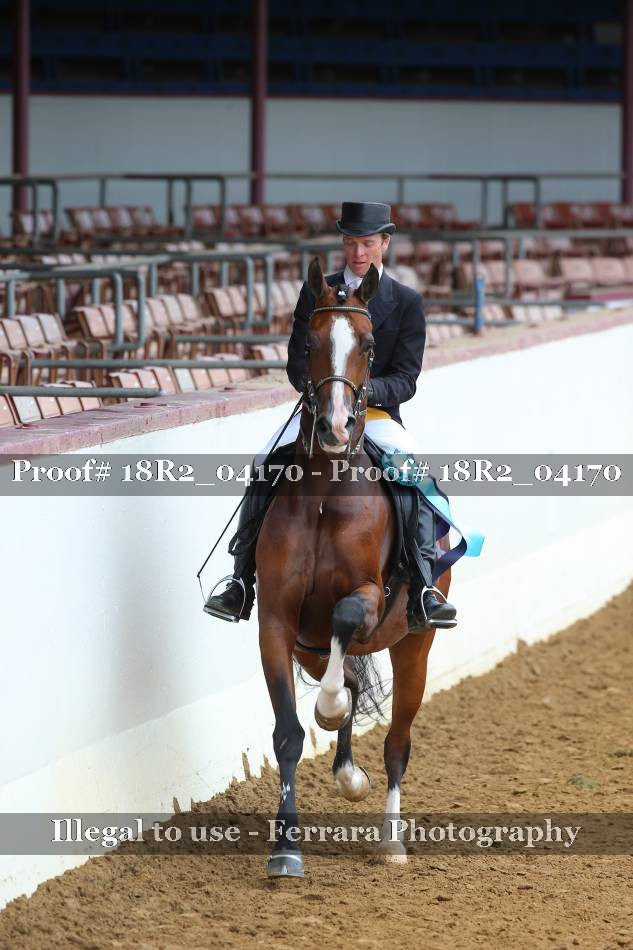 Proof 18R2_04170