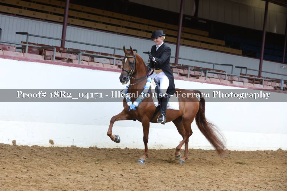 Proof 18R2_04171