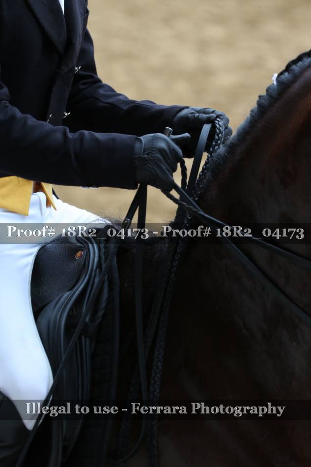 Proof 18R2_04173