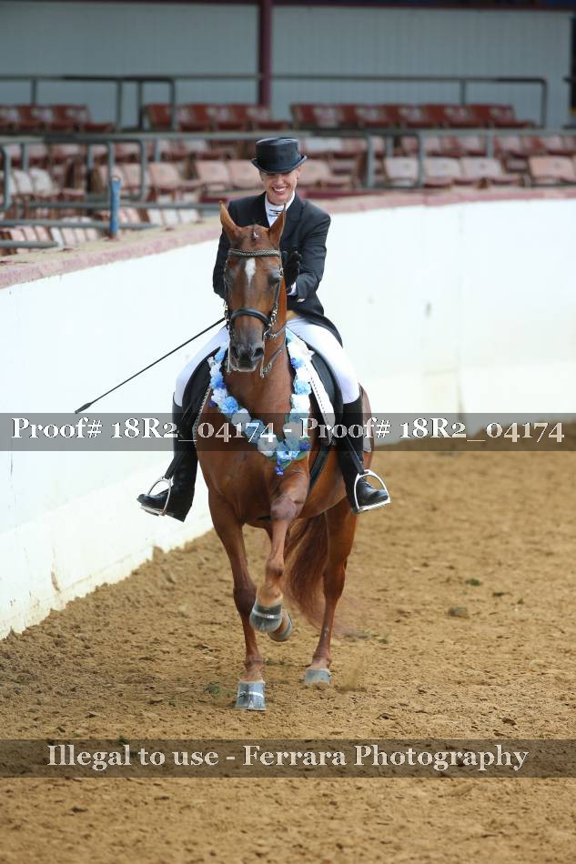 Proof 18R2_04174