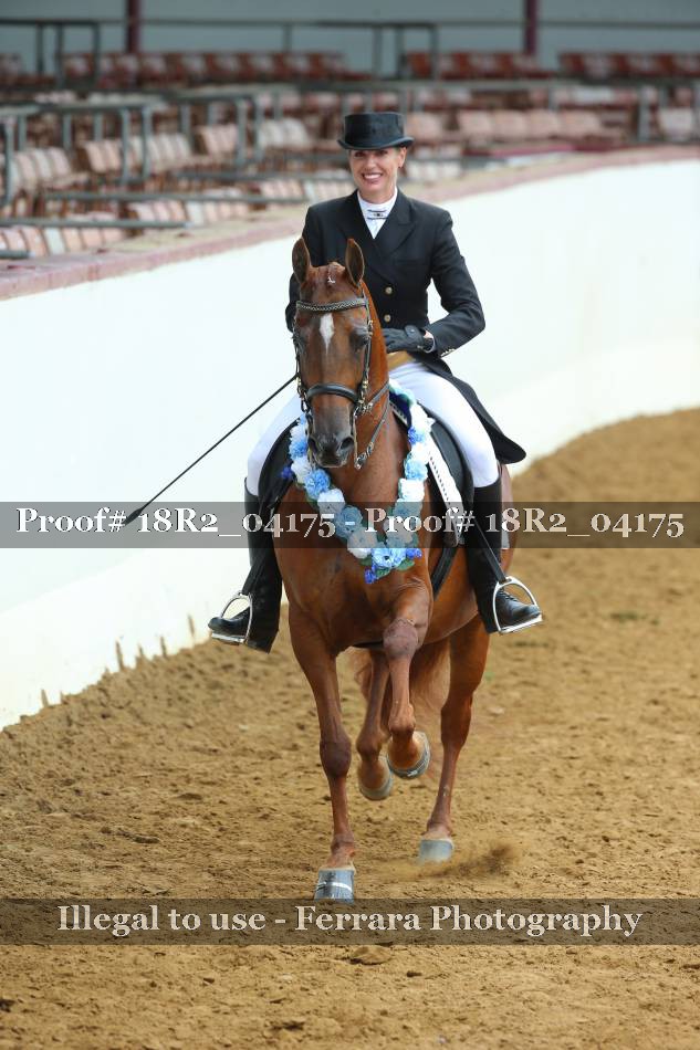 Proof 18R2_04175