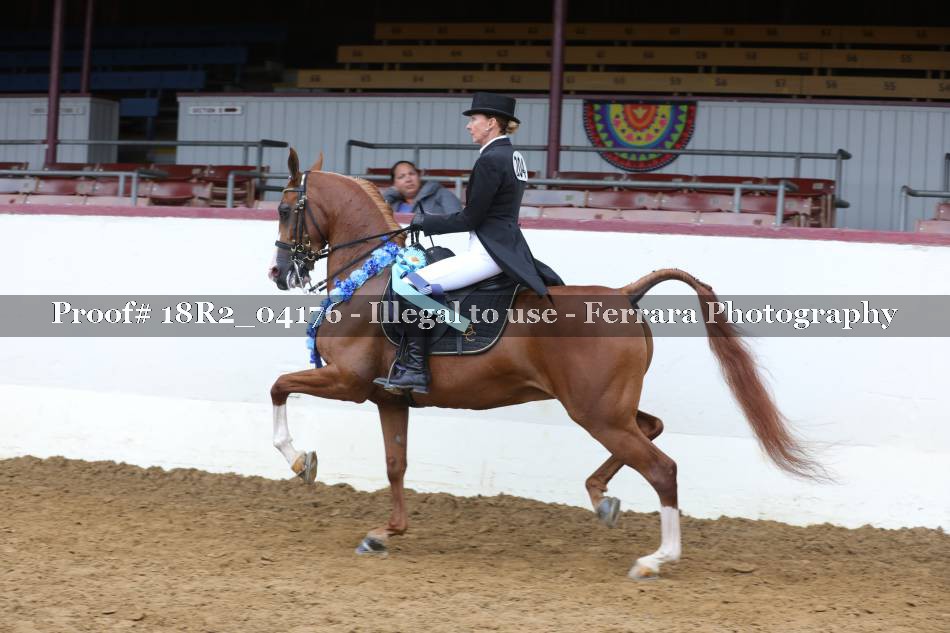 Proof 18R2_04176