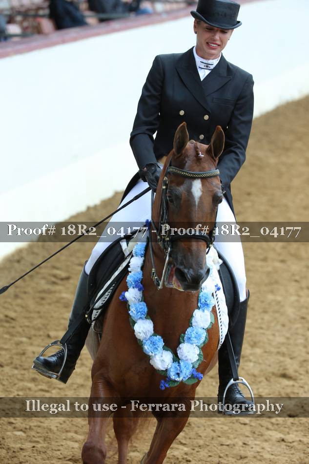 Proof 18R2_04177